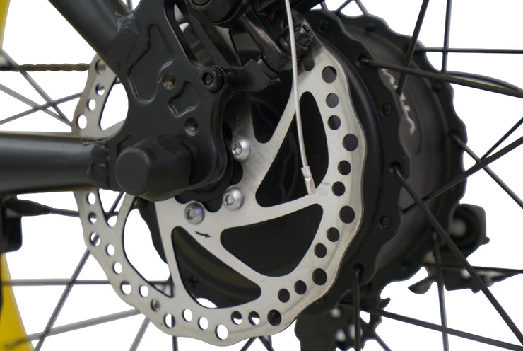 Electric Bike - VTUVIA SJ26