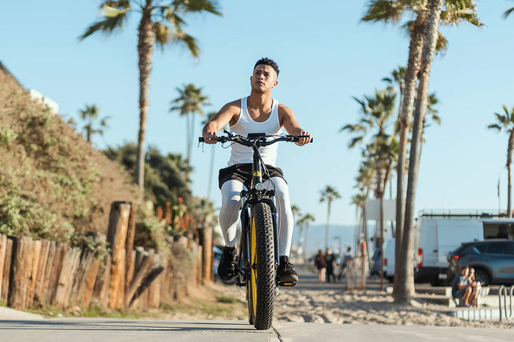 Electric Bike - VTUVIA SJ26